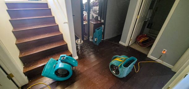 Best Water damage restoration services  in Maxton, NC