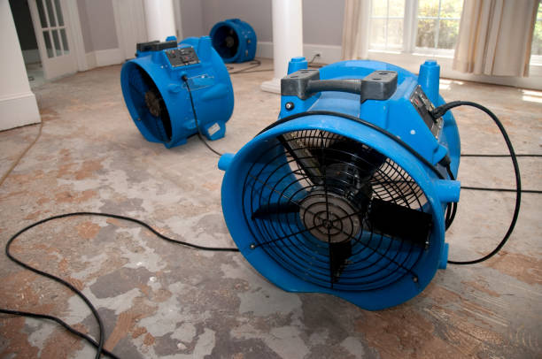 Best 24/7 water damage repair  in Maxton, NC