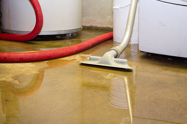 Best Water damage restoration near me  in Maxton, NC