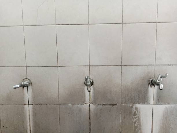 Best Emergency water extraction  in Maxton, NC